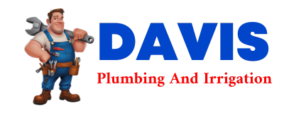 Trusted plumber in DELLROY